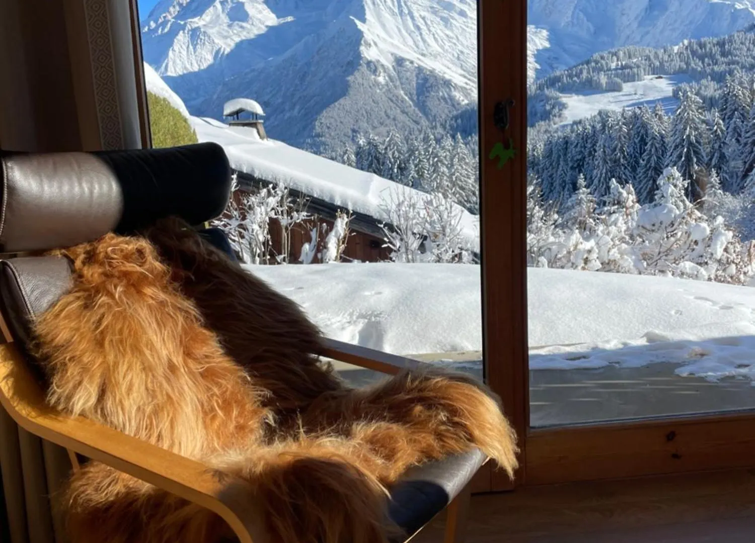 Appartement Vue Splendide Mont Blanc à Saint-Gervais-les-Bains